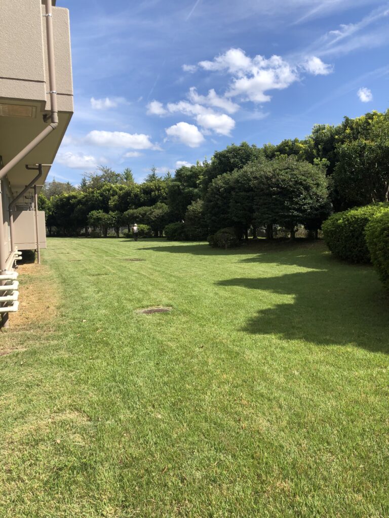 草刈りは川崎市宮前区で剪定・伐採・草刈り・造園・外構を中心に承っている庭翔黒にお任せください。