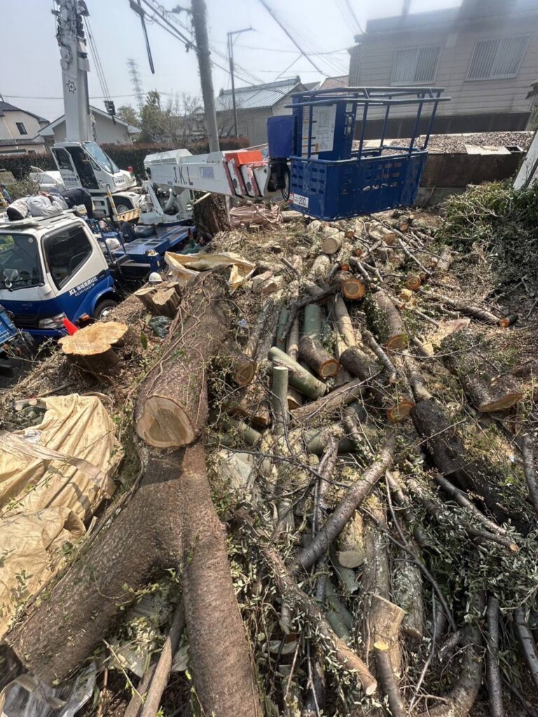 伐採、伐根は川崎市宮前区で剪定・伐採・草刈り・造園・外構を中心に承っている庭翔黒にお任せください。